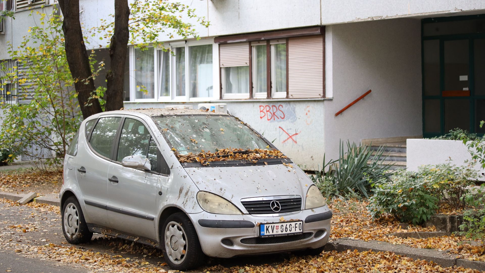 A parked vehicle covered with autumn leaves on a quiet residential street.
