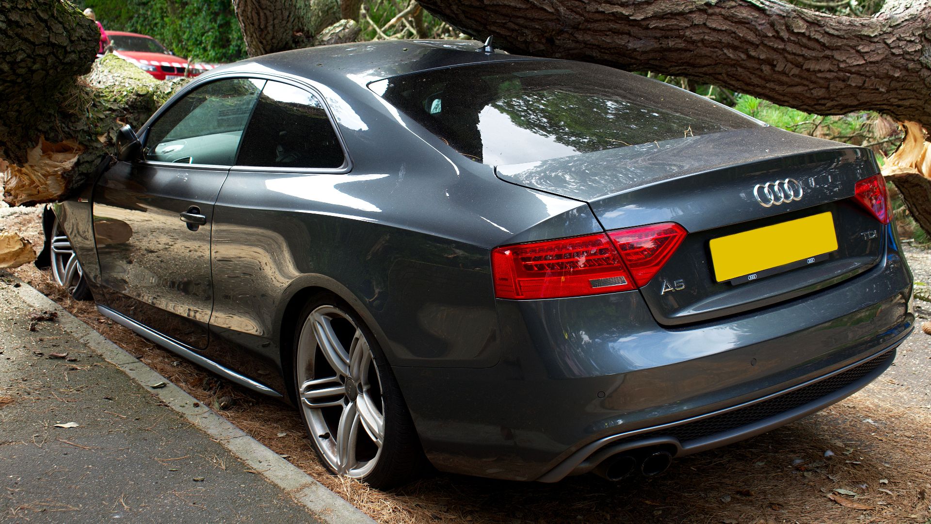 A broken Audi car crushed by a fallen tree in a UK street accident.