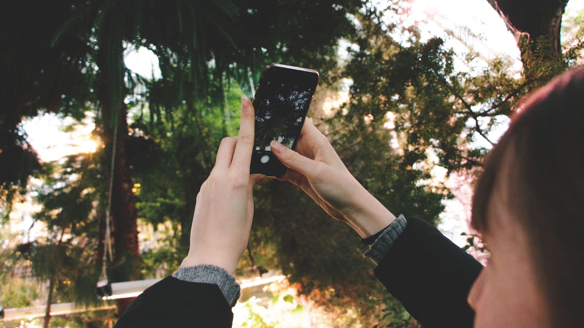 Person photographing lush greenery with a smartphone in København, Denmark.
