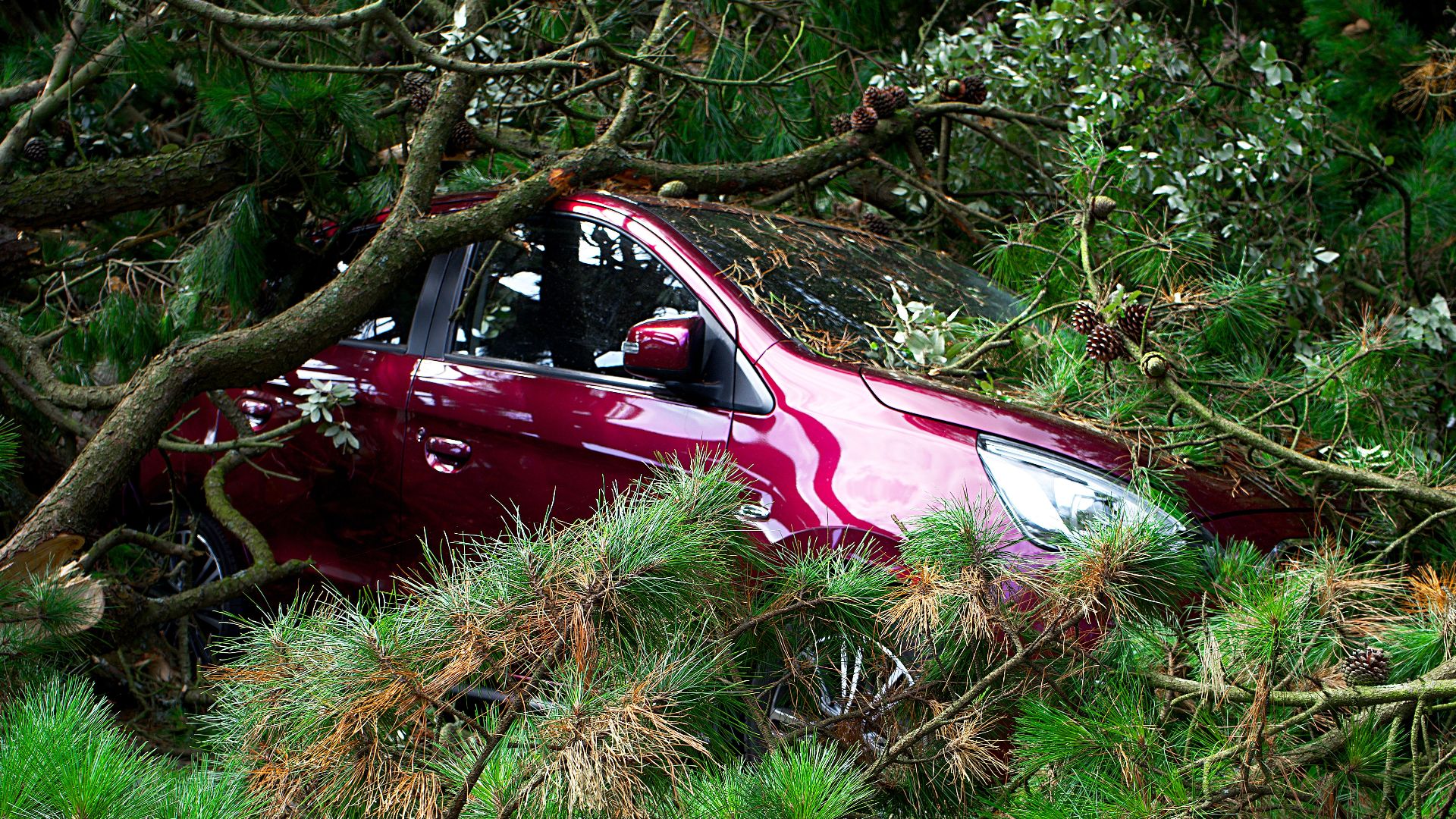 A red car trapped under fallen trees, showcasing the aftermath of a storm.