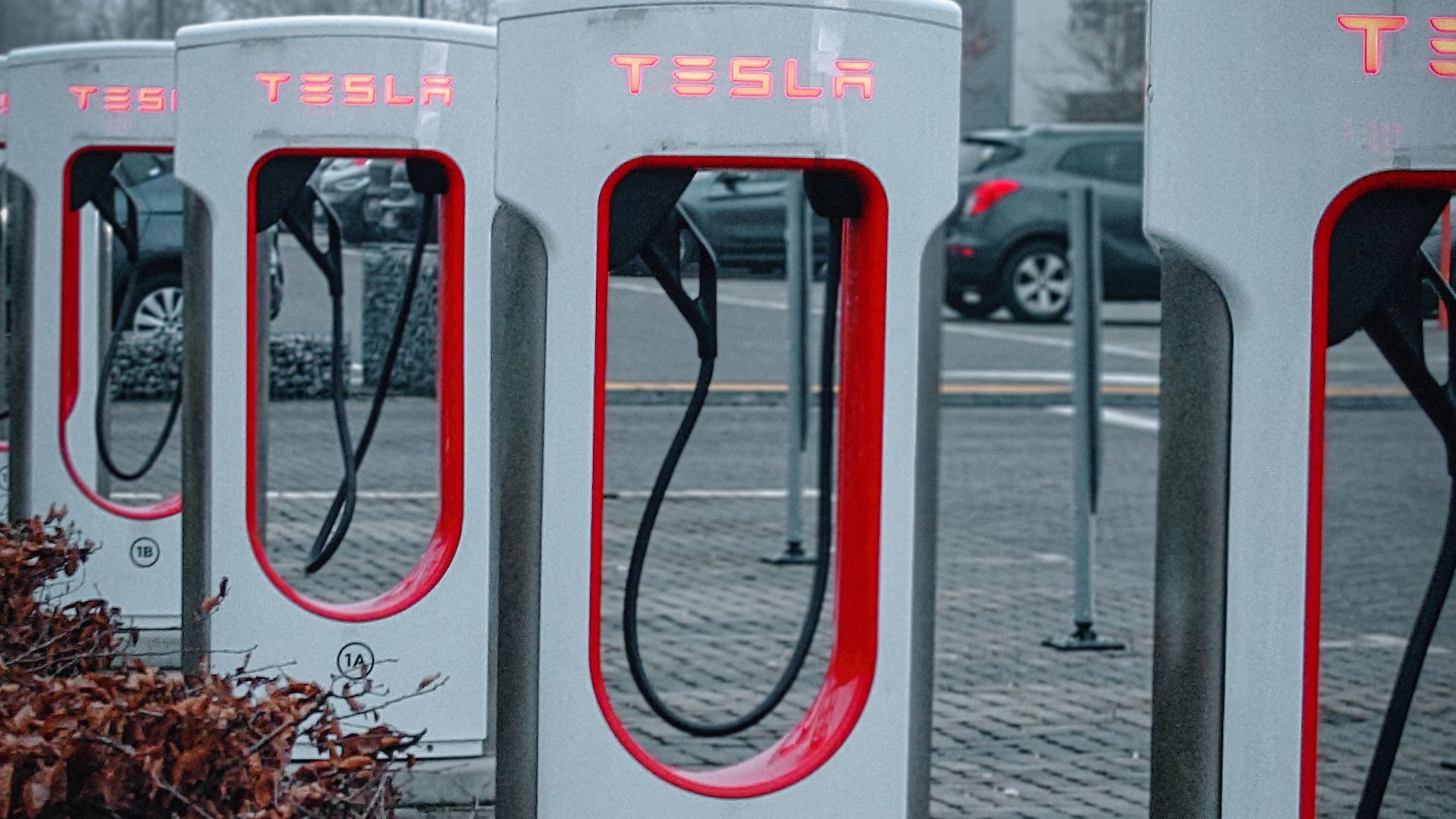 Line of Tesla charging stations in a misty urban environment, ready for electric vehicles.