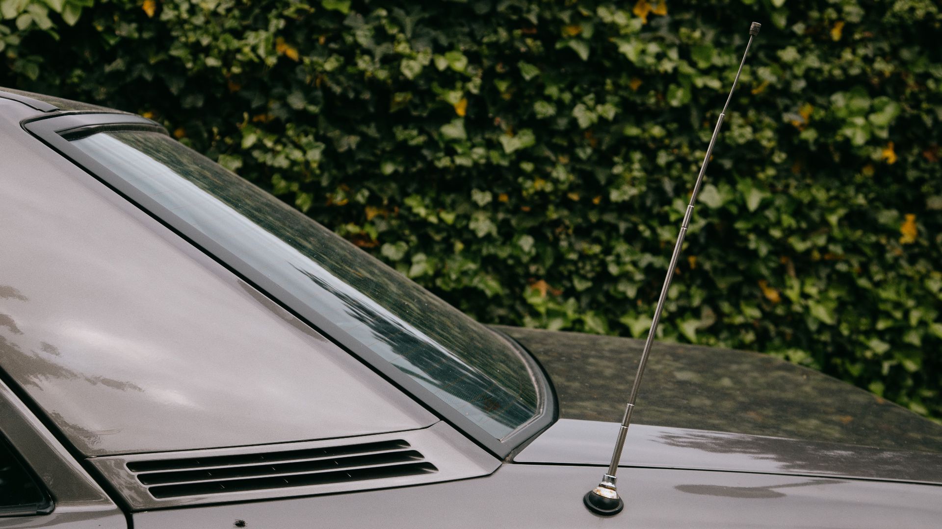 Posterior part of car with glossy surface and long thin antenna parked on street near tall green hedge