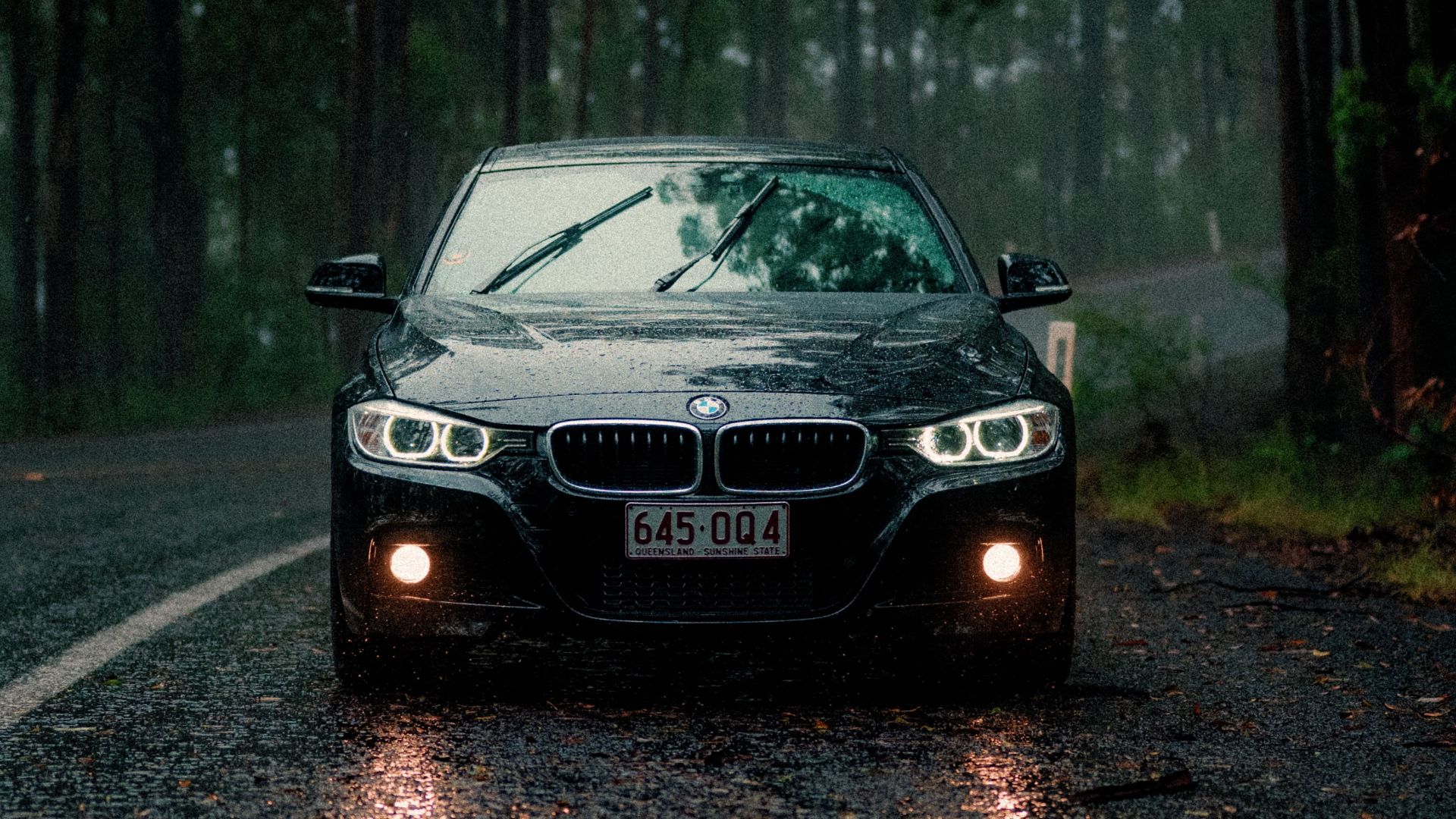 Black car driving on a wet road in a forest during a rainy day, with headlights on.