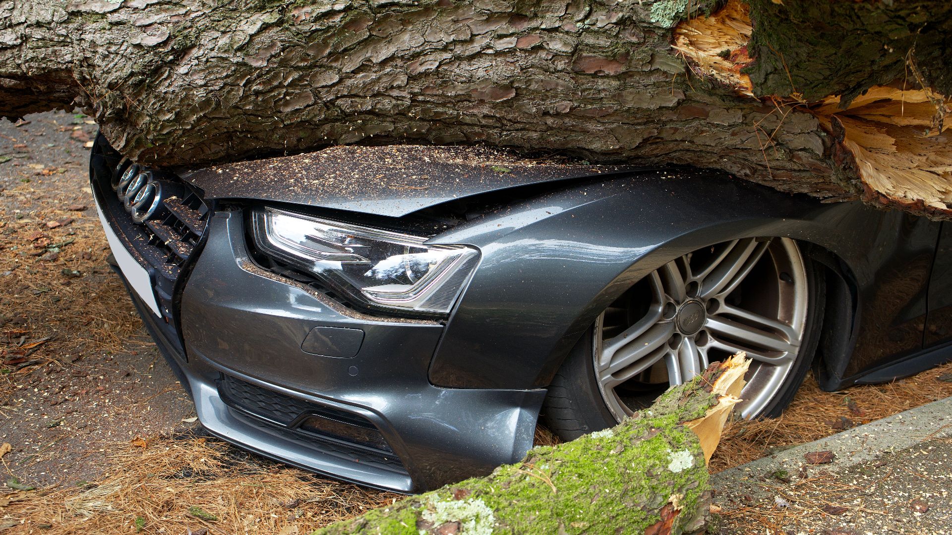 A vehicle damaged by a fallen tree after an accident in the United Kingdom.