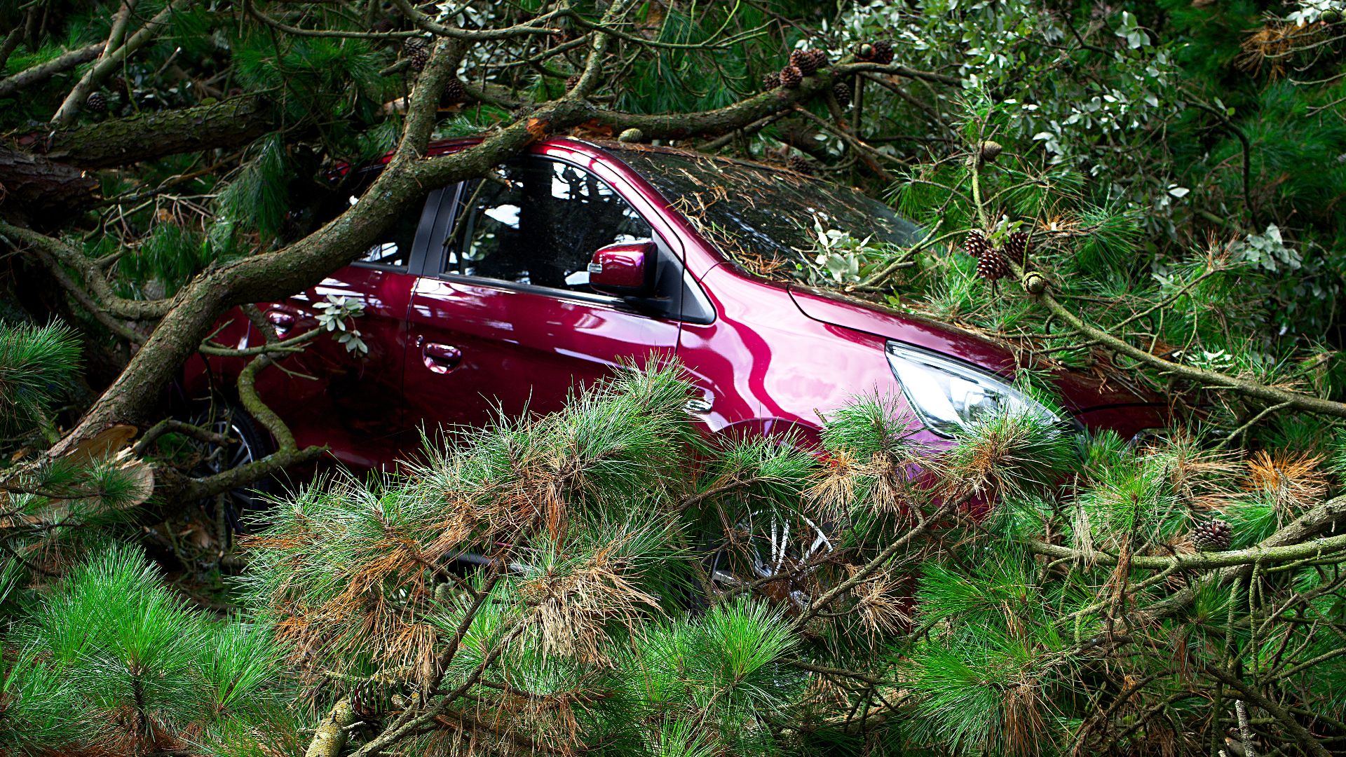 A red car trapped under fallen trees, showcasing the aftermath of a storm.