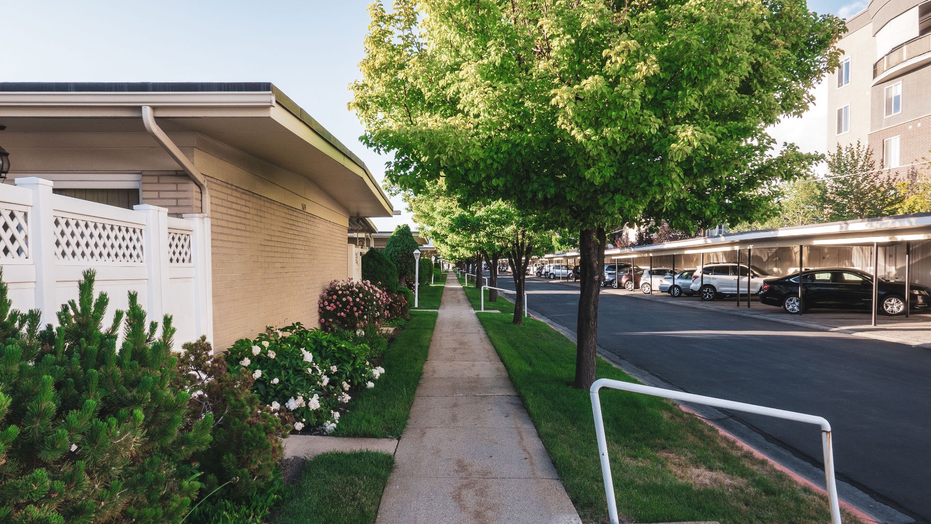 A peaceful residential street lined with trees and houses, featuring a sidewalk and parked cars.
