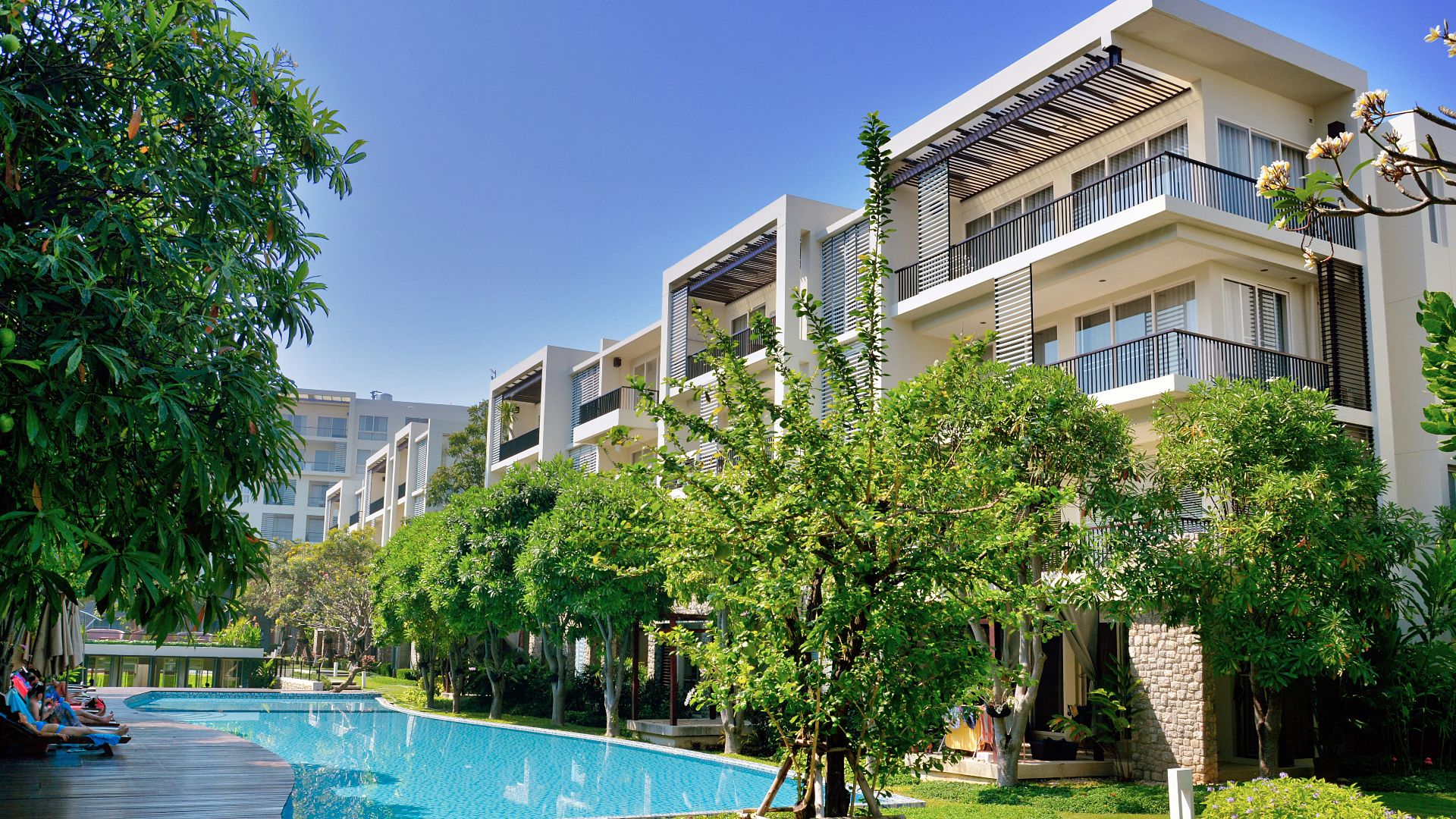 green trees near swimming pool during daytime