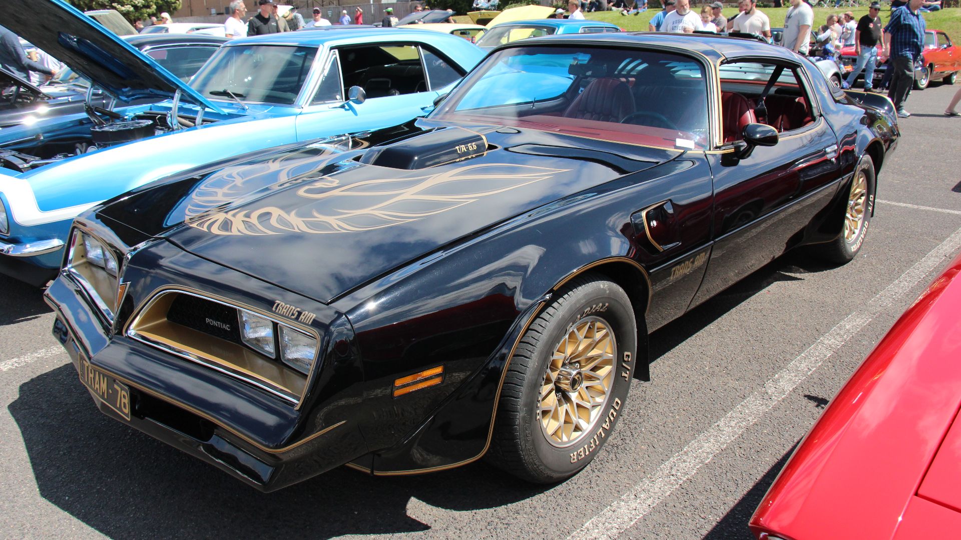 This 2nd generation Firebird was updated in 1977 with a slant nose using 4 rectangular headlights. the 455 cu in now not available.
Pontiac celebrated its 50th anniversary with the Transam Special Edition; Black with Gold accents and 6.6 litre (400 cu in