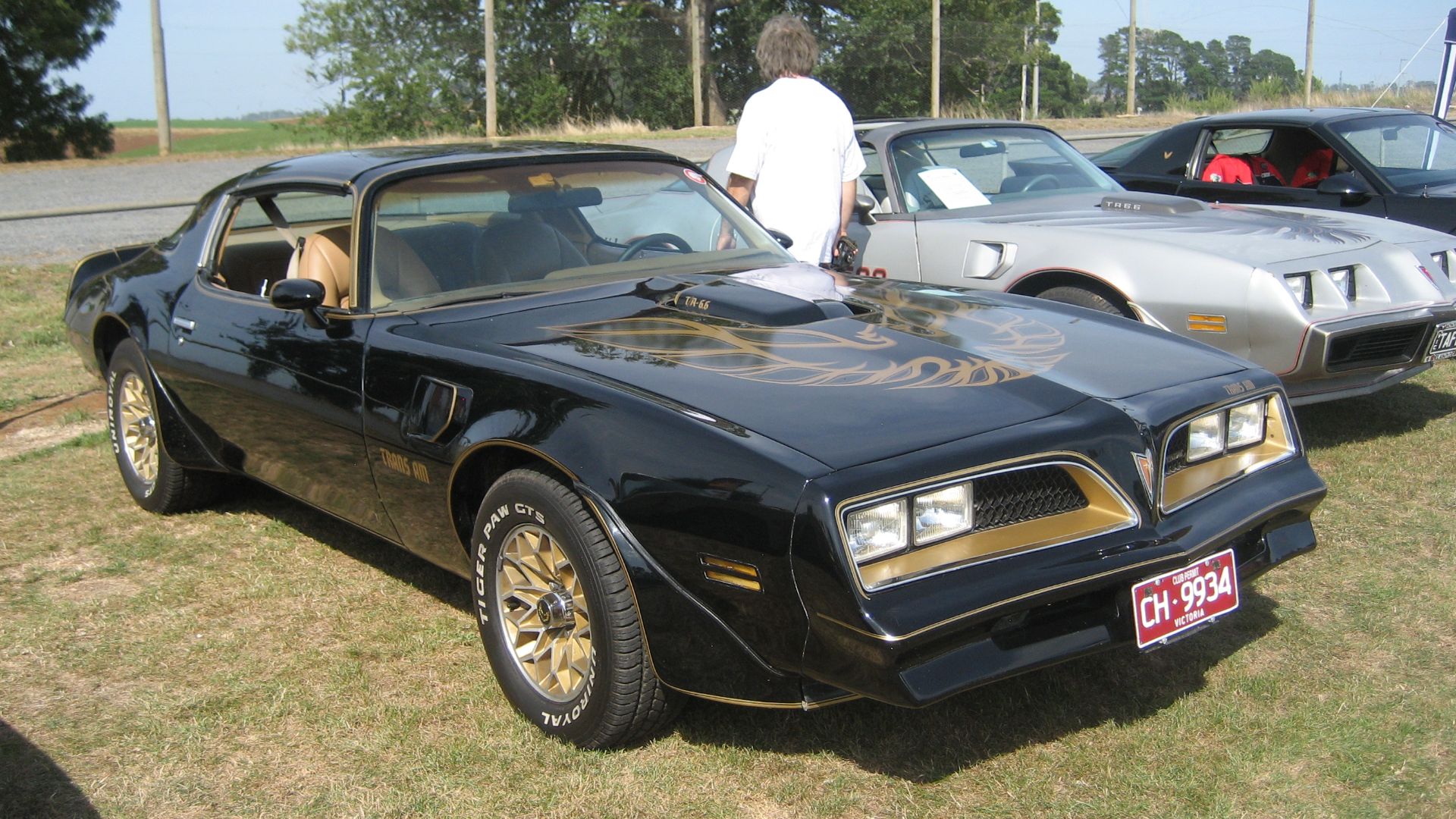 50th anniversary for Pontiac; the Transam Special Edition; Black with Gold accents, made famous in the movie; Smokey & the Bandit.