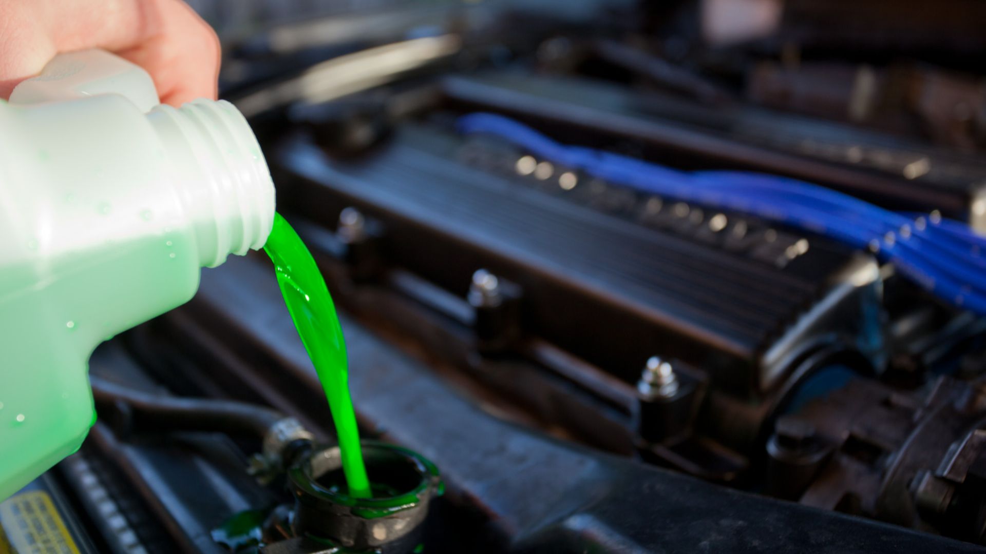 Engine coolant being poured into the radiator of a car. Taken in Melbourne, Victoria in July 2009