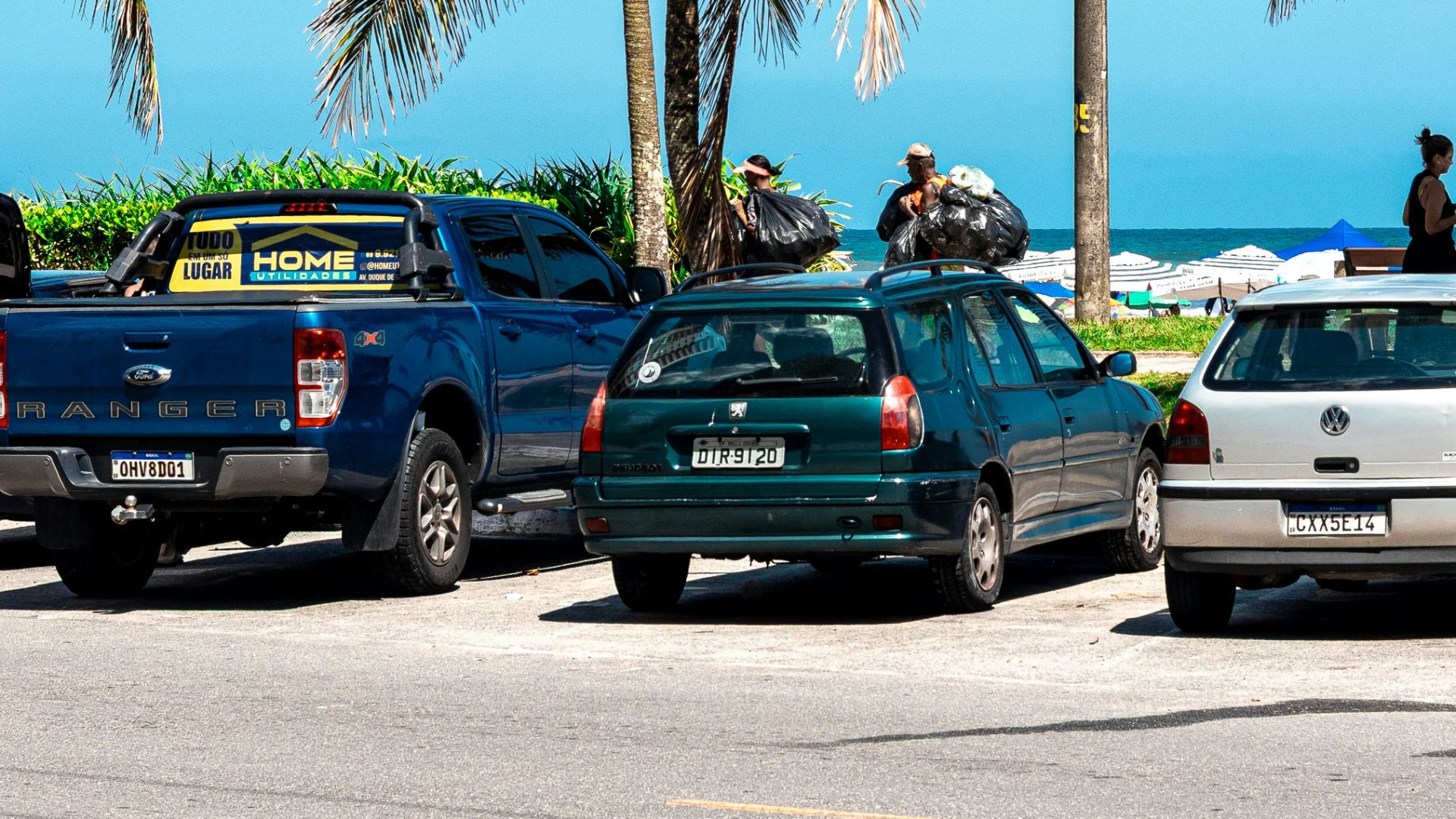 Cars parked under palm trees near a beach.