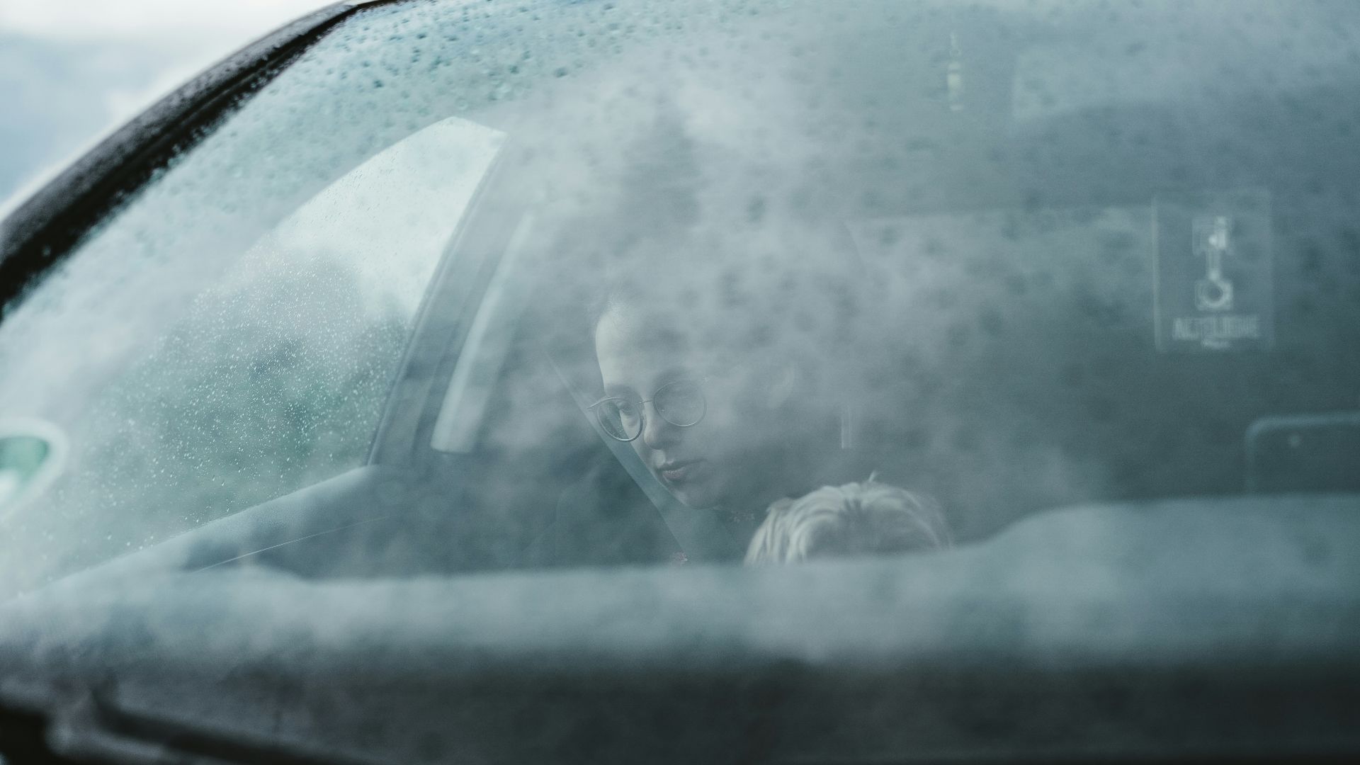 person in black jacket driving car