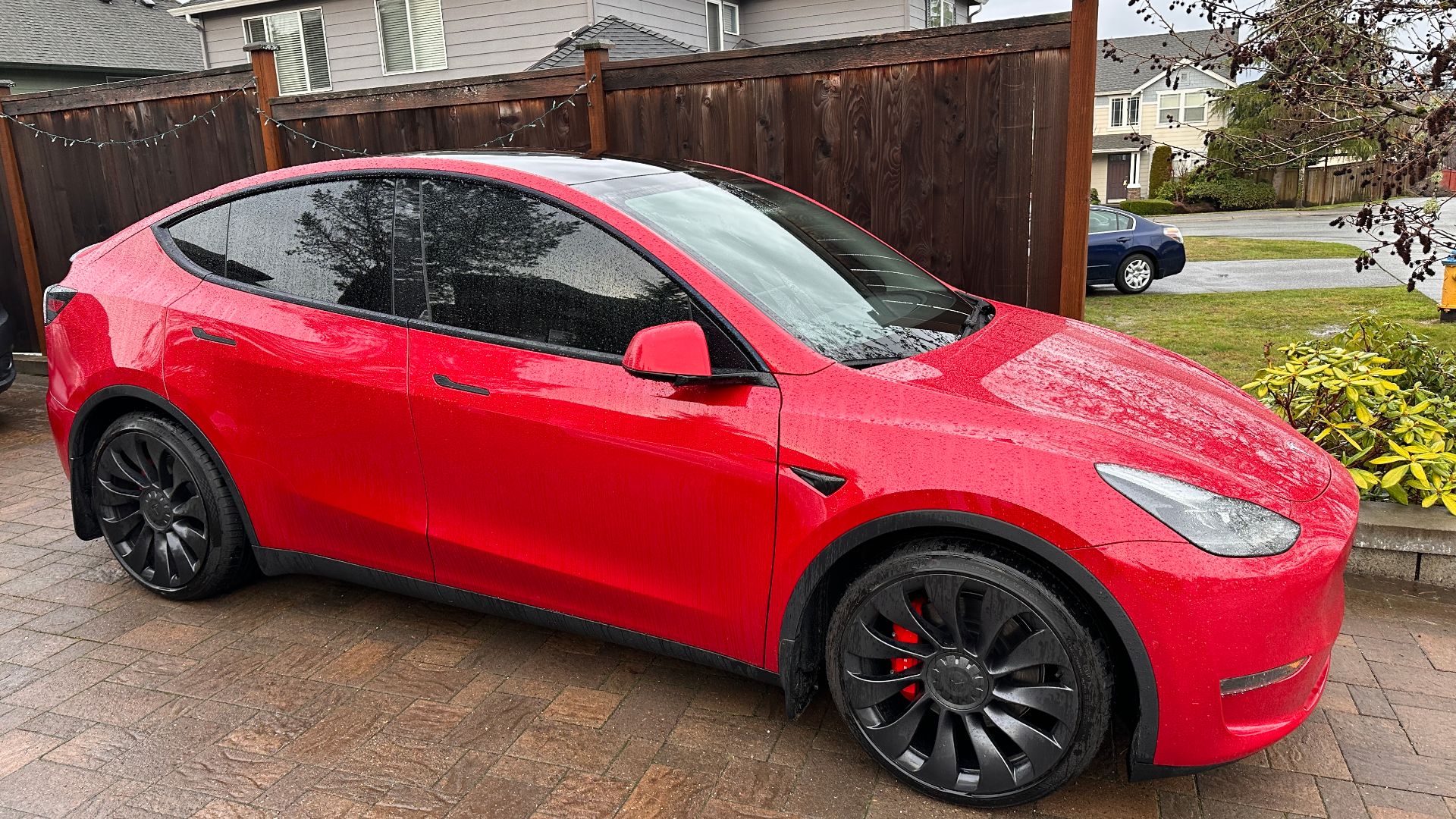 Tesla Y Ceramic window tint