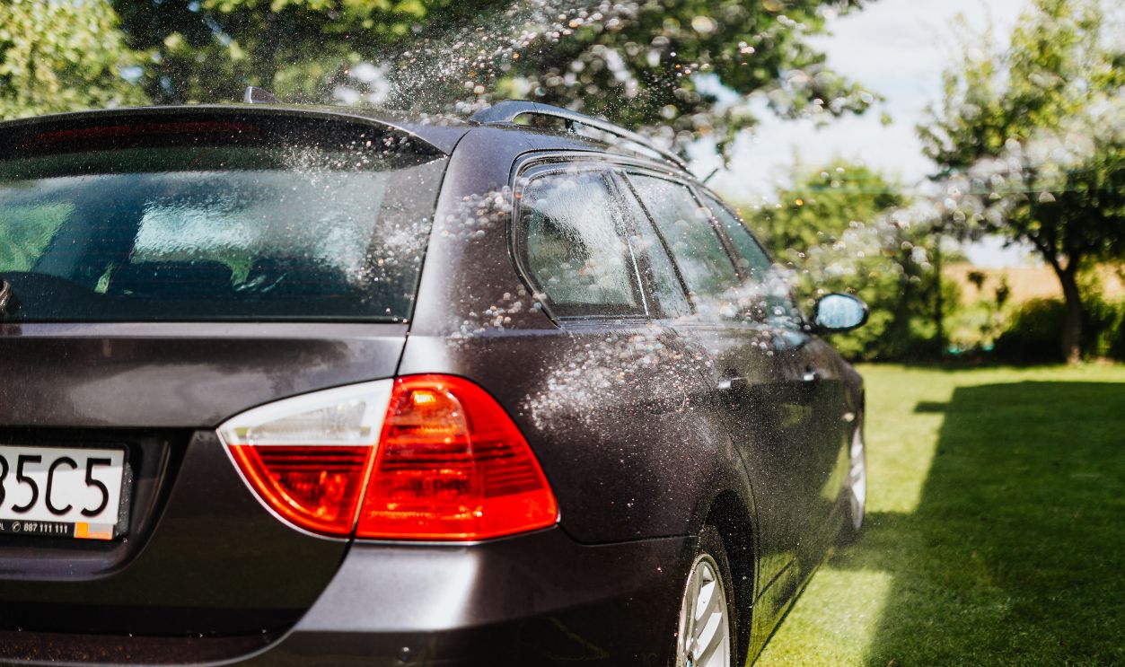 A black car being washed outdoors with a hose, surrounded by greenery and sunlight.