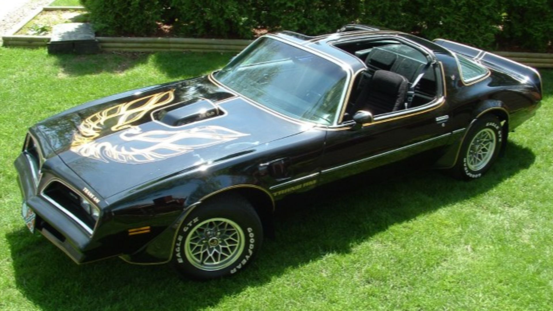 A black 1978 Firebird Trans-Am. Owned by