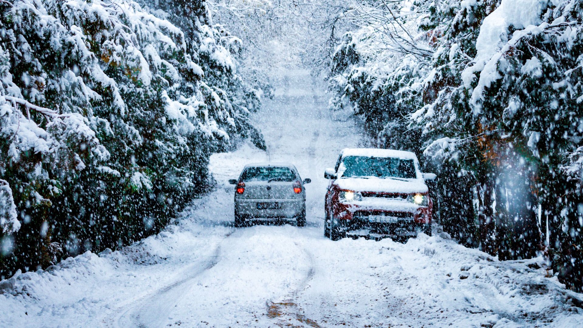 Two cars navigating a heavily snow-covered path in a pine forest during winter in Konya, Turkey.