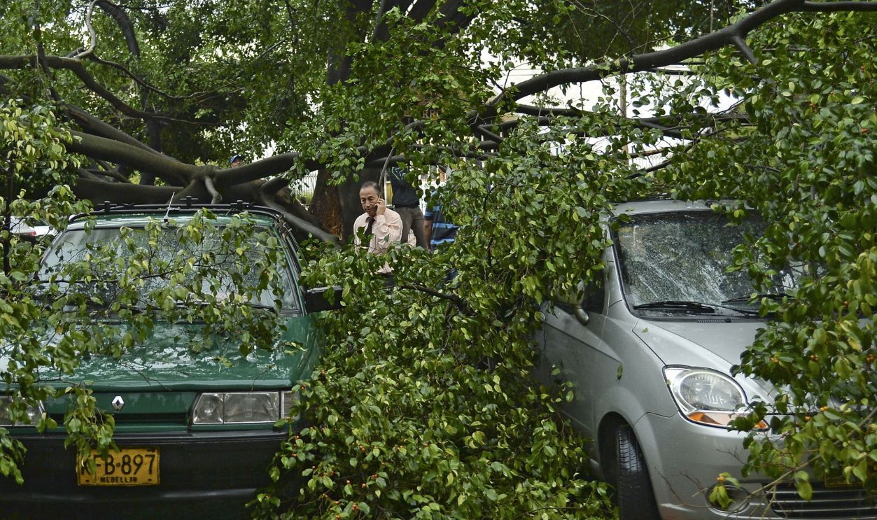 tree fallen on cars 458057498
