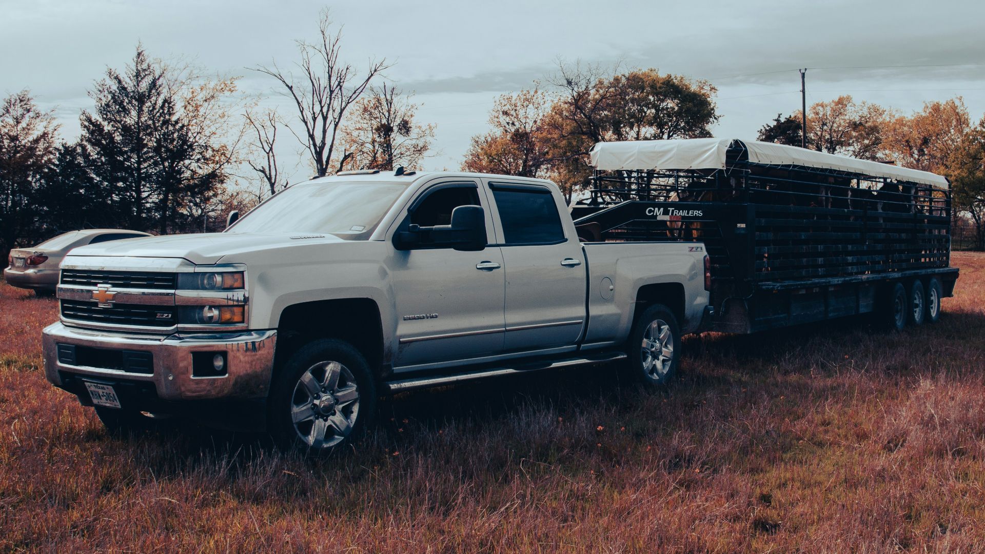 a silver truck parked in a field with trees in the background