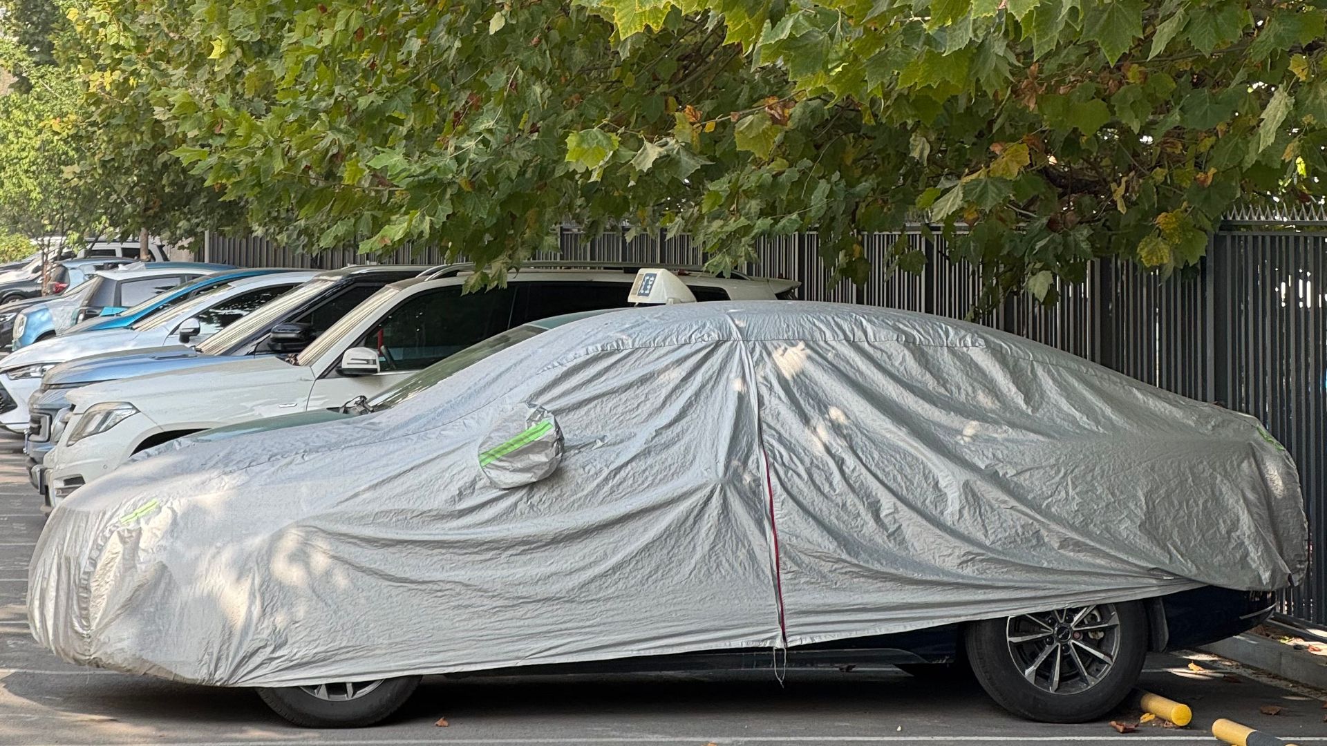 Covered cars park under green leafy trees on a sunny day in Tianjin, China.