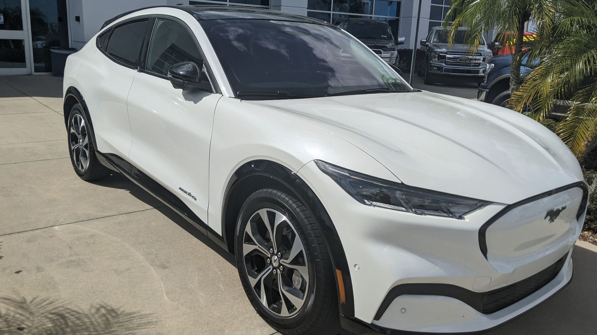White Mach-E at Jarrett-Gordon Ford
