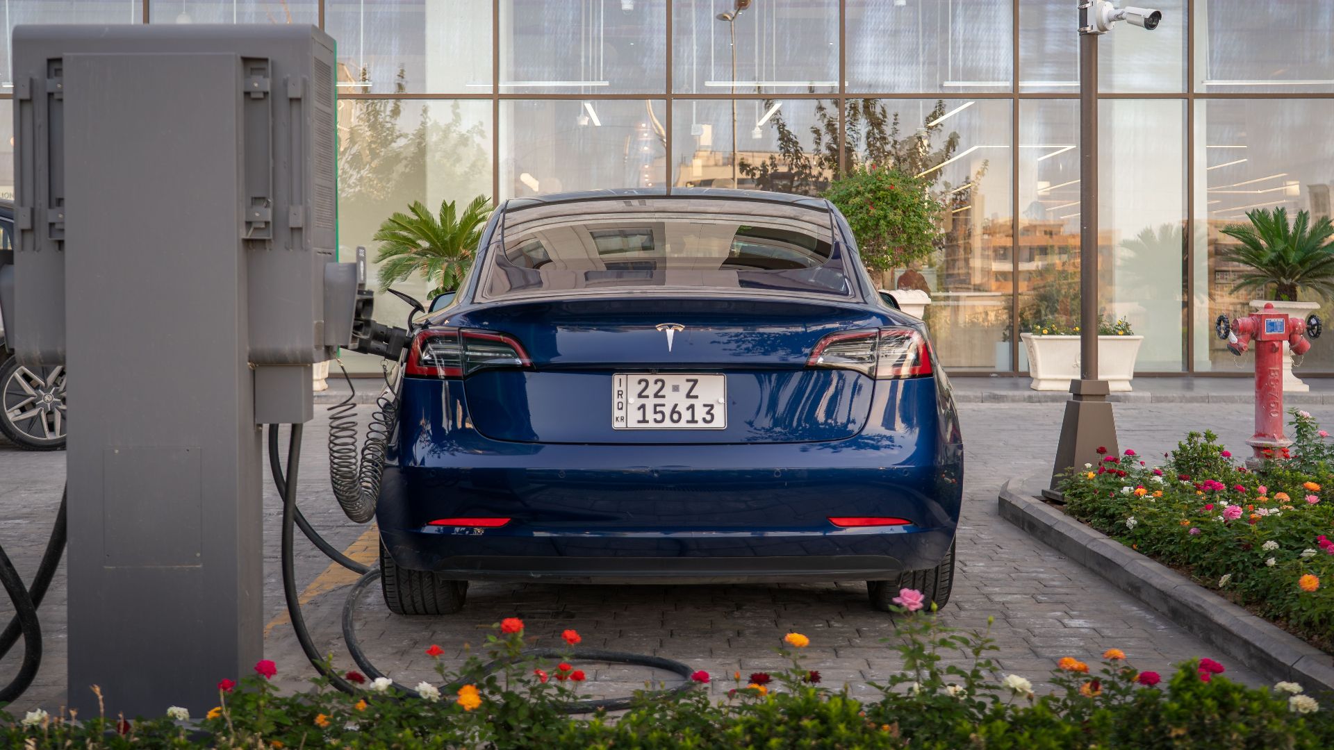 Rear view of a blue Tesla electric vehicle charging at a modern outdoor station.