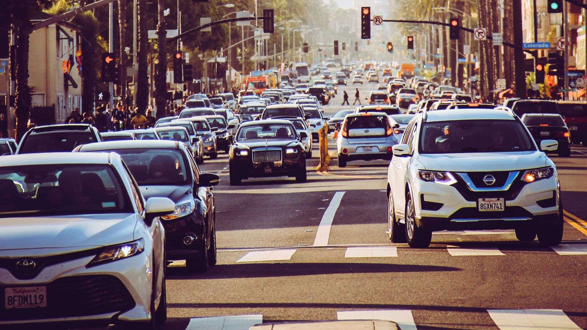 vehicles on road
