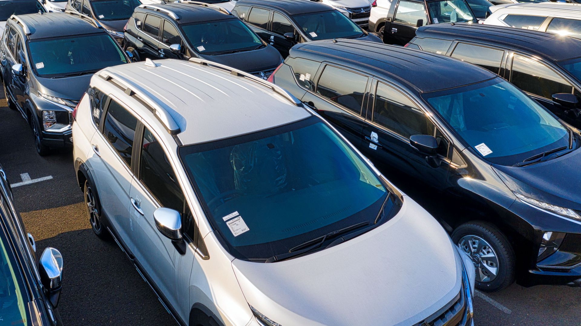 Modern sparkling clean new automobiles on asphalt parking near factory of manufacture in daytime