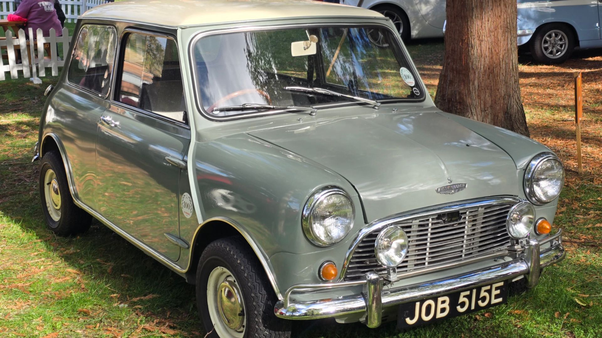 Austin Mini