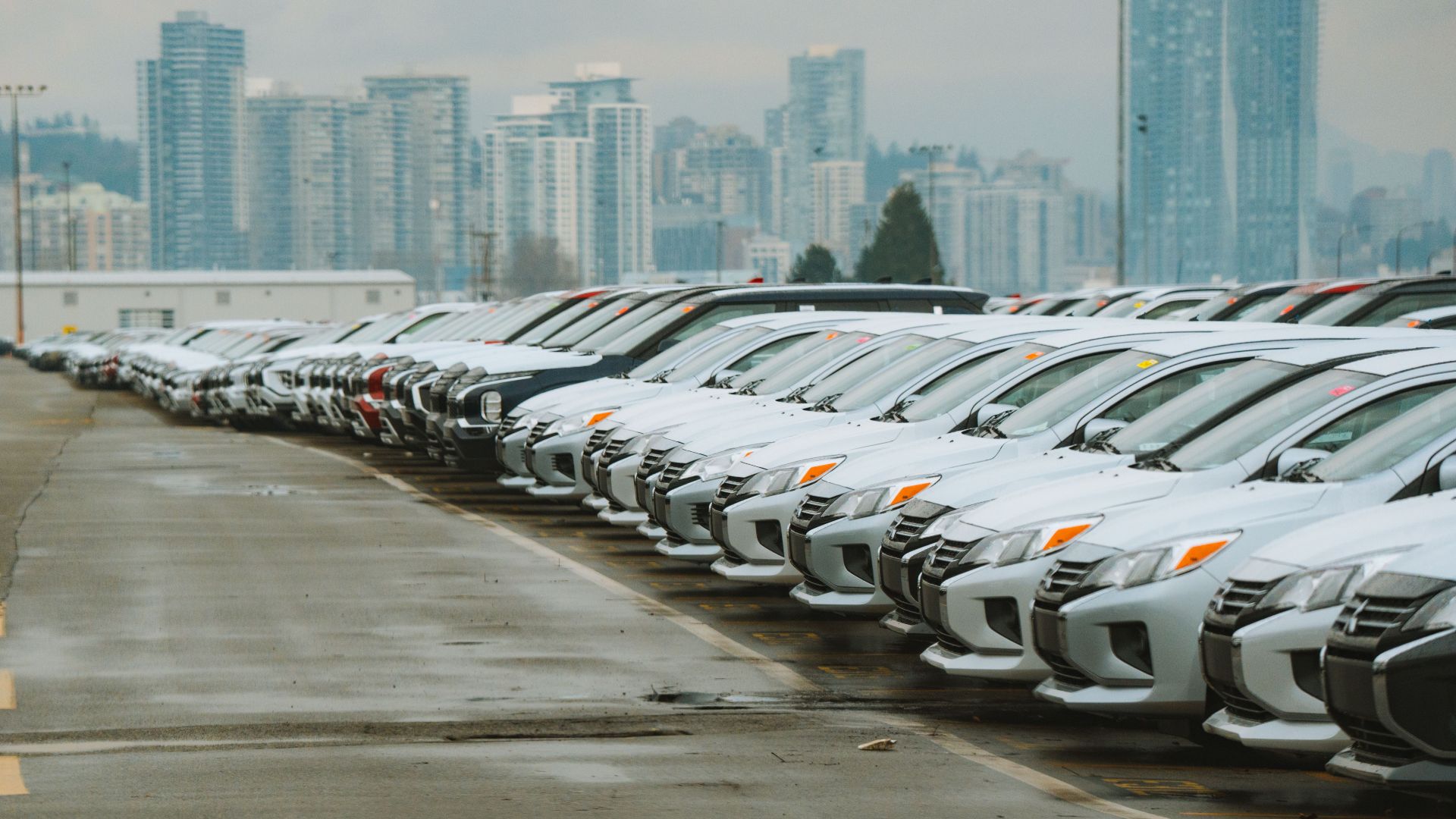 White cars lined up in a parking lot with a city skyline backdrop.