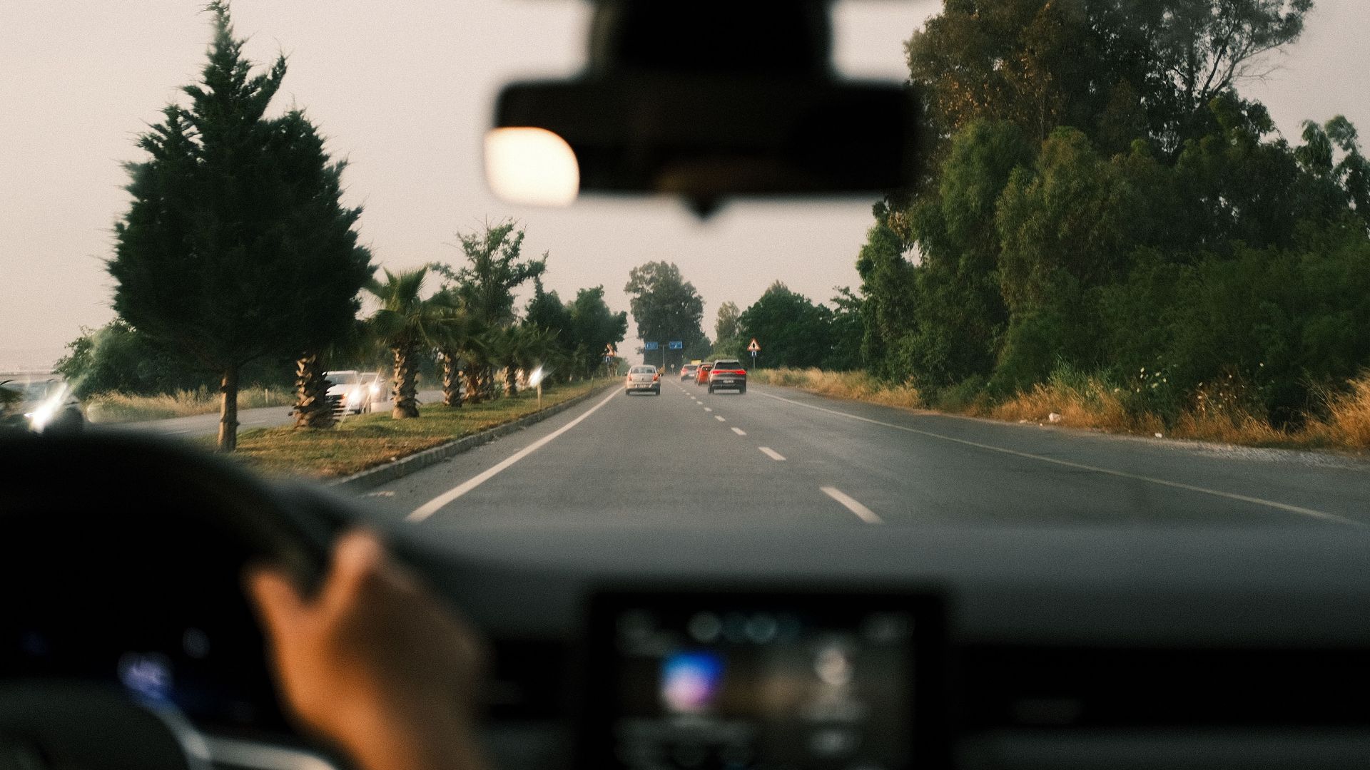 View from inside a moving car driving down a tree-lined open road at dusk.