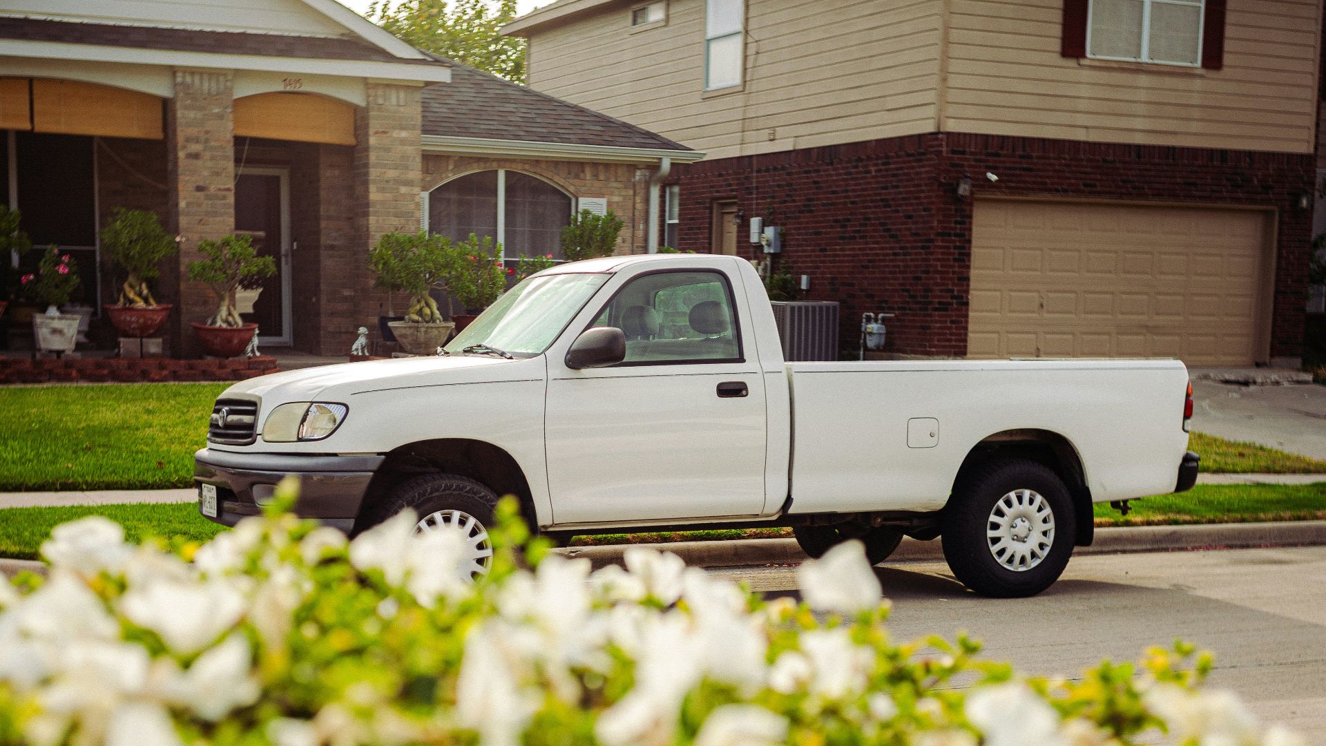 A white pickup truck parked on a suburban street with white flowers in foreground