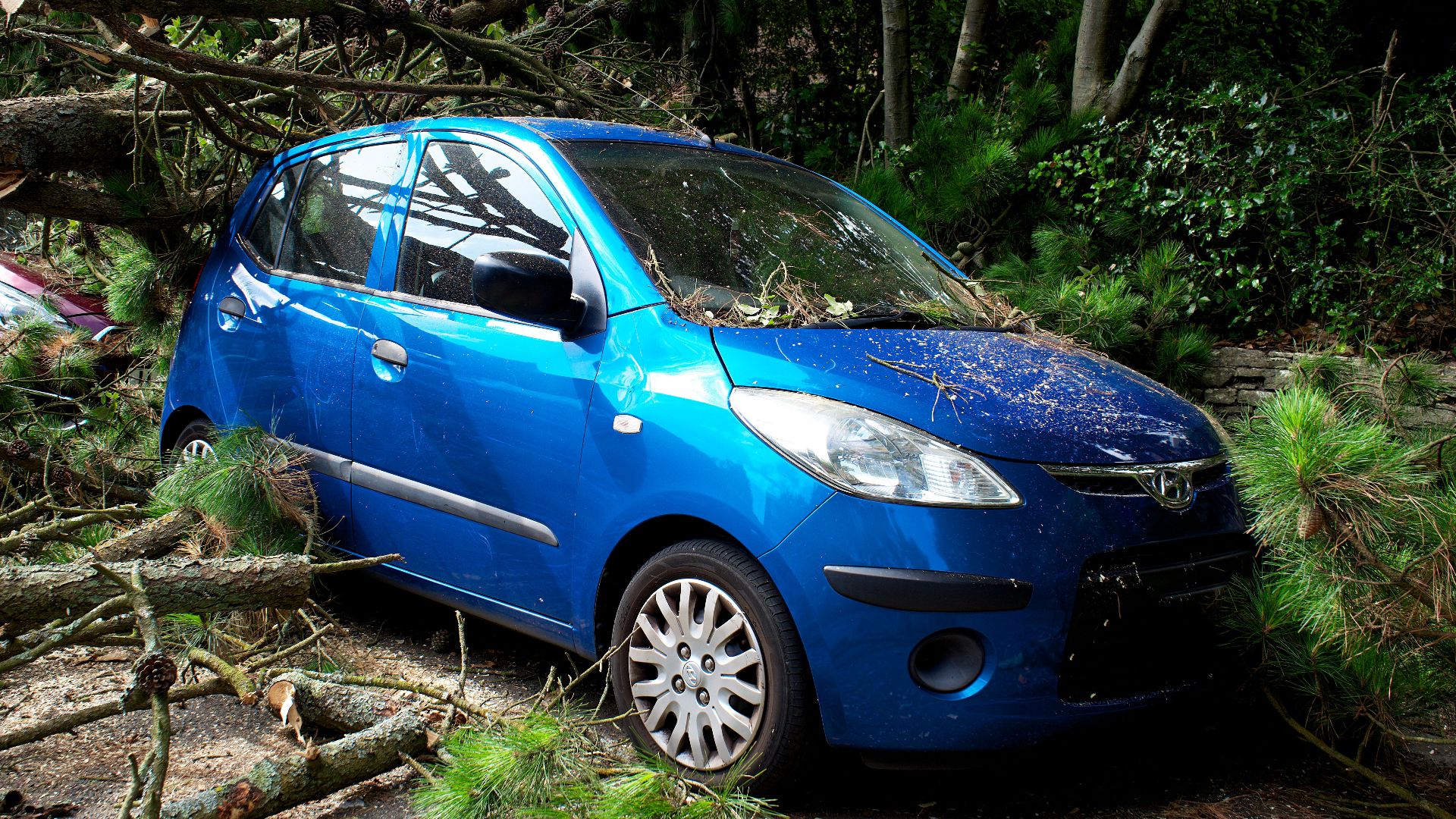 A blue car trapped under fallen trees in a post-storm scene in the UK.