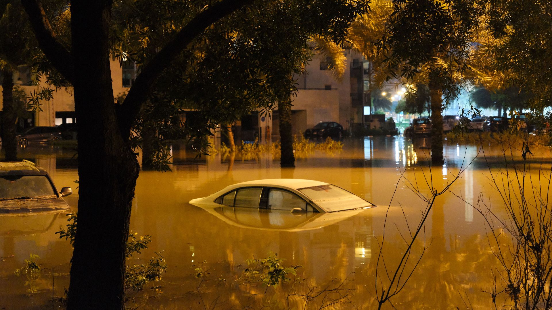 A dramatic scene of submerged cars in a flooded street surrounded by trees at night.