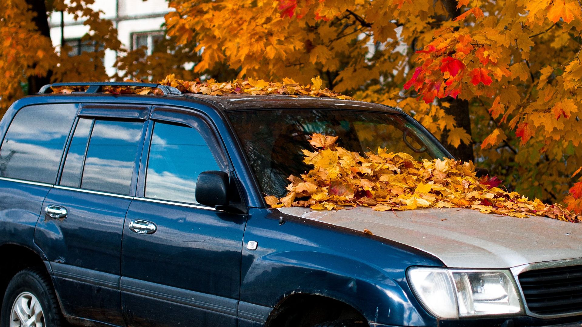 Blue SUV surrounded by vivid autumn leaves on a street, showcasing a serene fall scene.