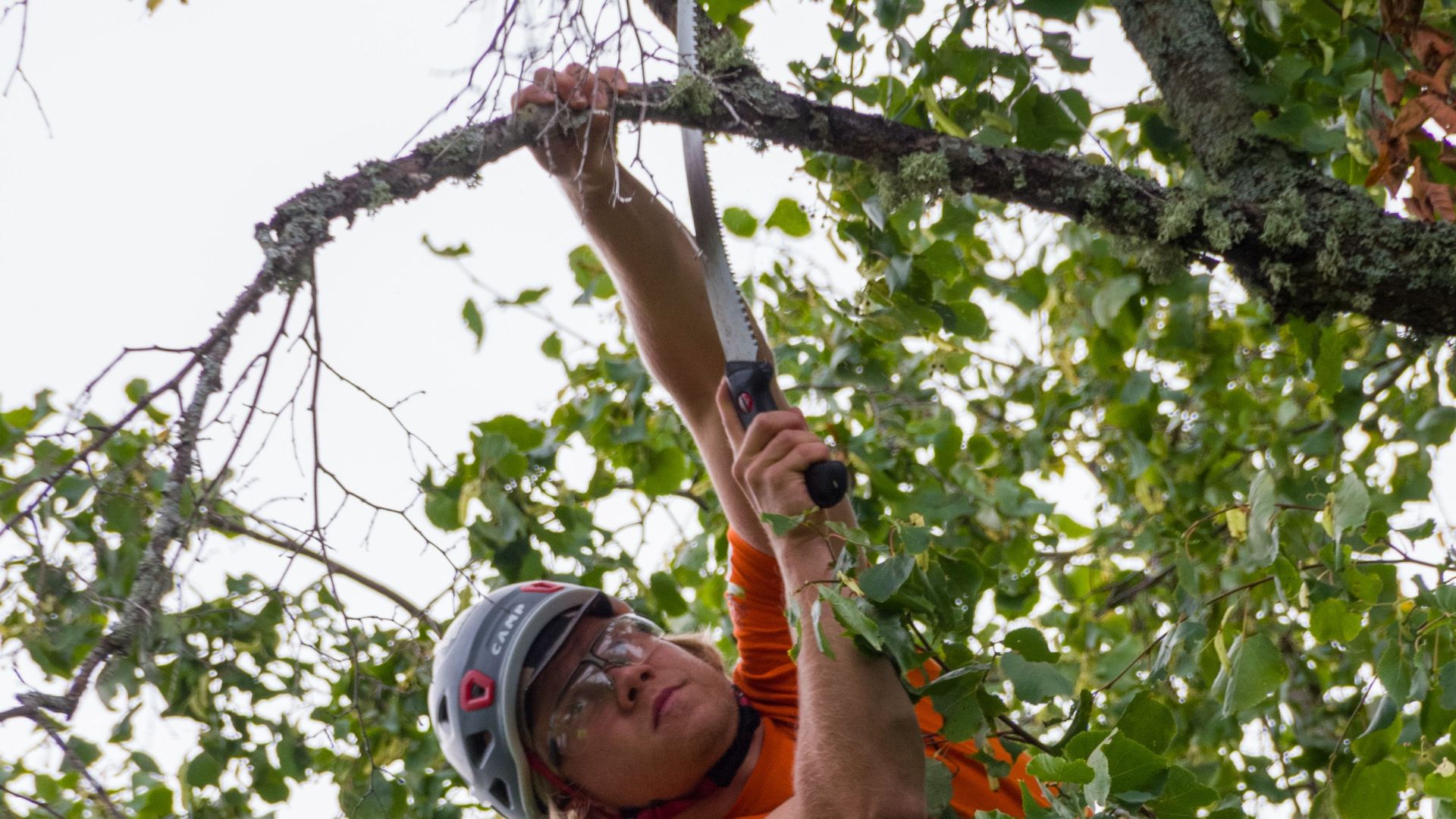 Arborist in action using safety gear to prune trees outdoors in Lepaa, Finland.