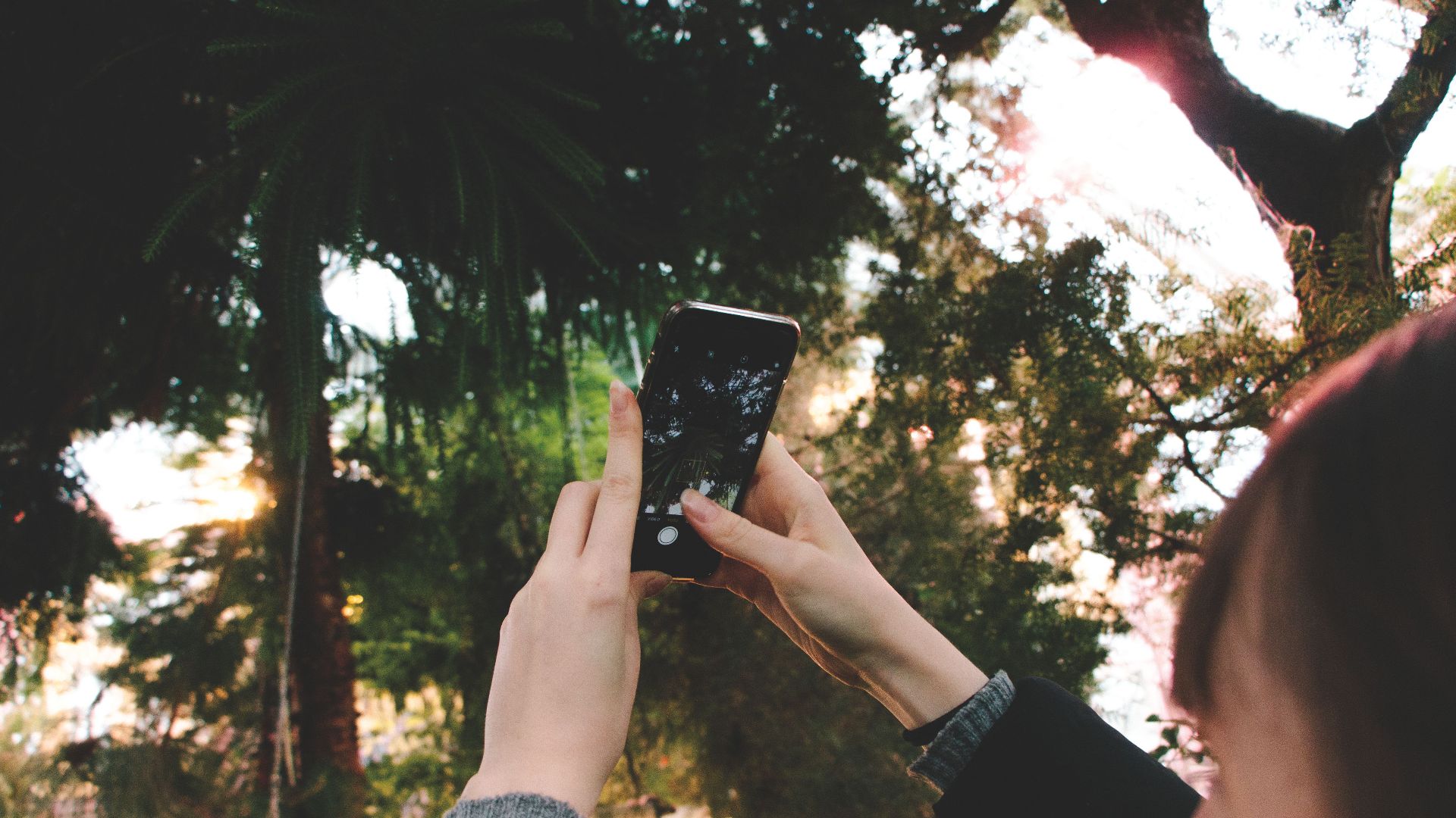 Person photographing lush greenery with a smartphone in København, Denmark.
