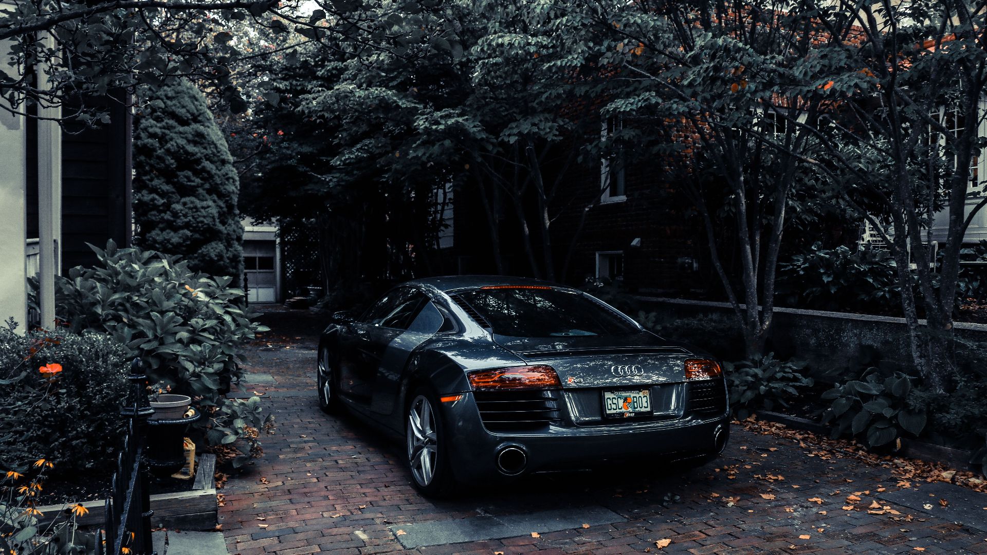 A sleek Audi R8 parked in a leafy residential driveway in Cape May, NJ, showcasing elegance and luxury.