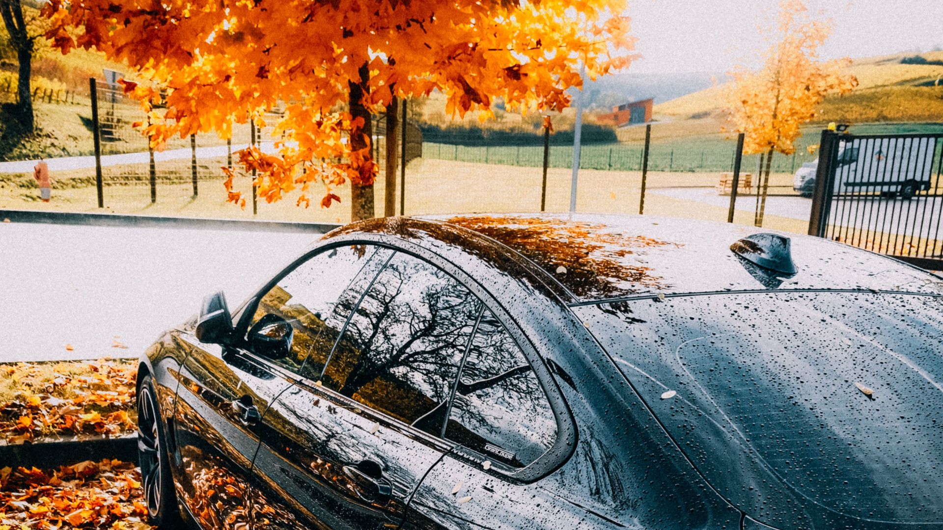 Black car parked on a wet street under vibrant orange autumn foliage after rain.
