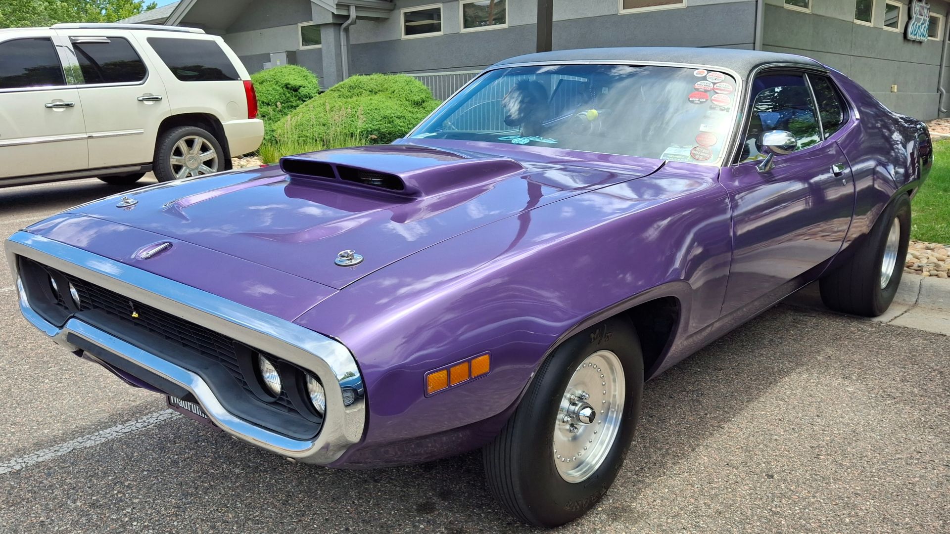 1971 Plymouth Road Runner, Plum Crazy, Golden Super Cruise 2026
