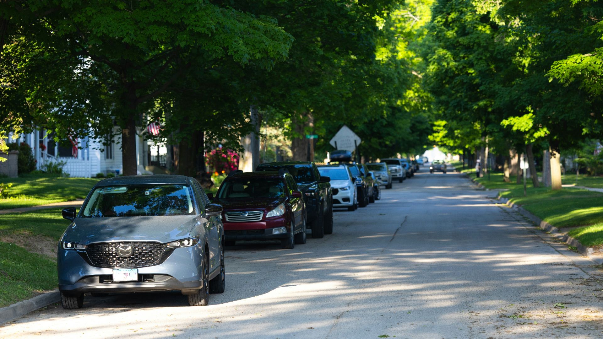 Residential street with parked cars and lush green trees