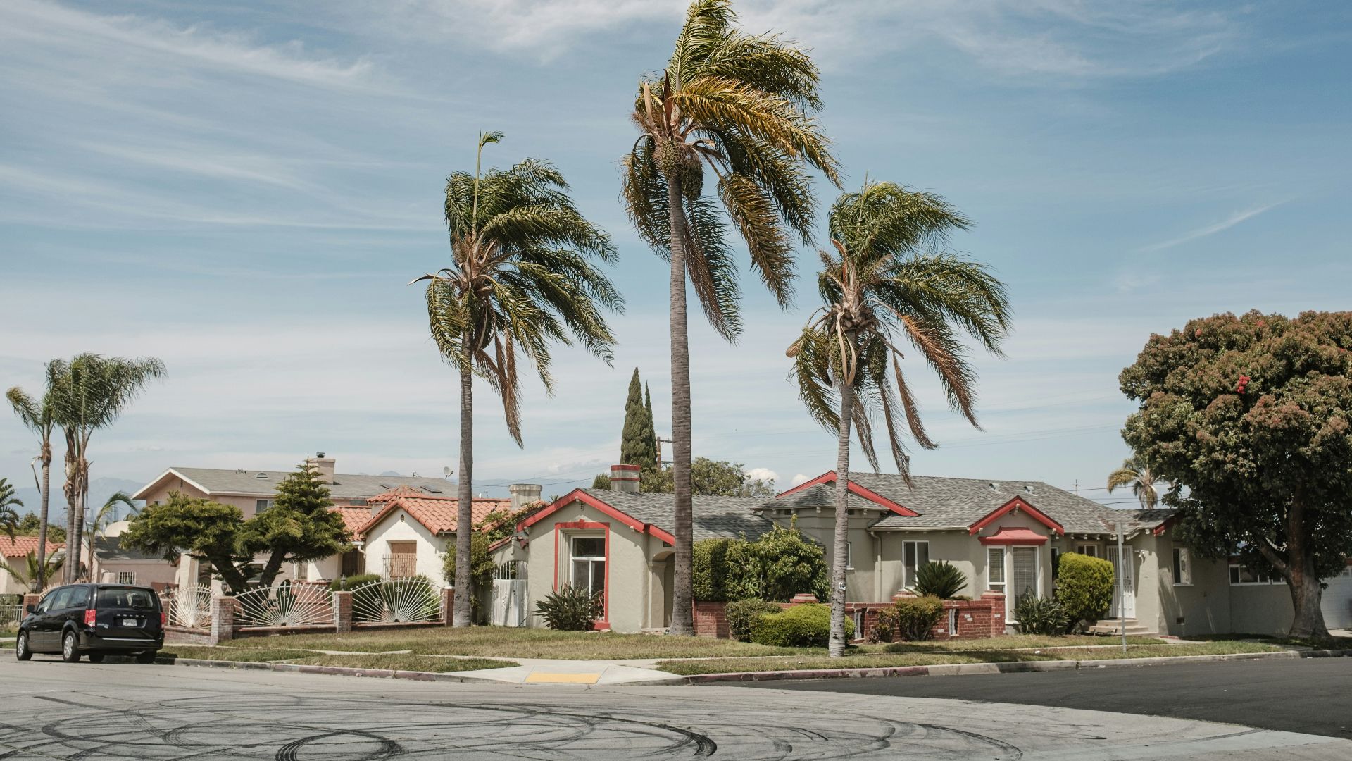white and red house near palm trees under blue sky during daytime