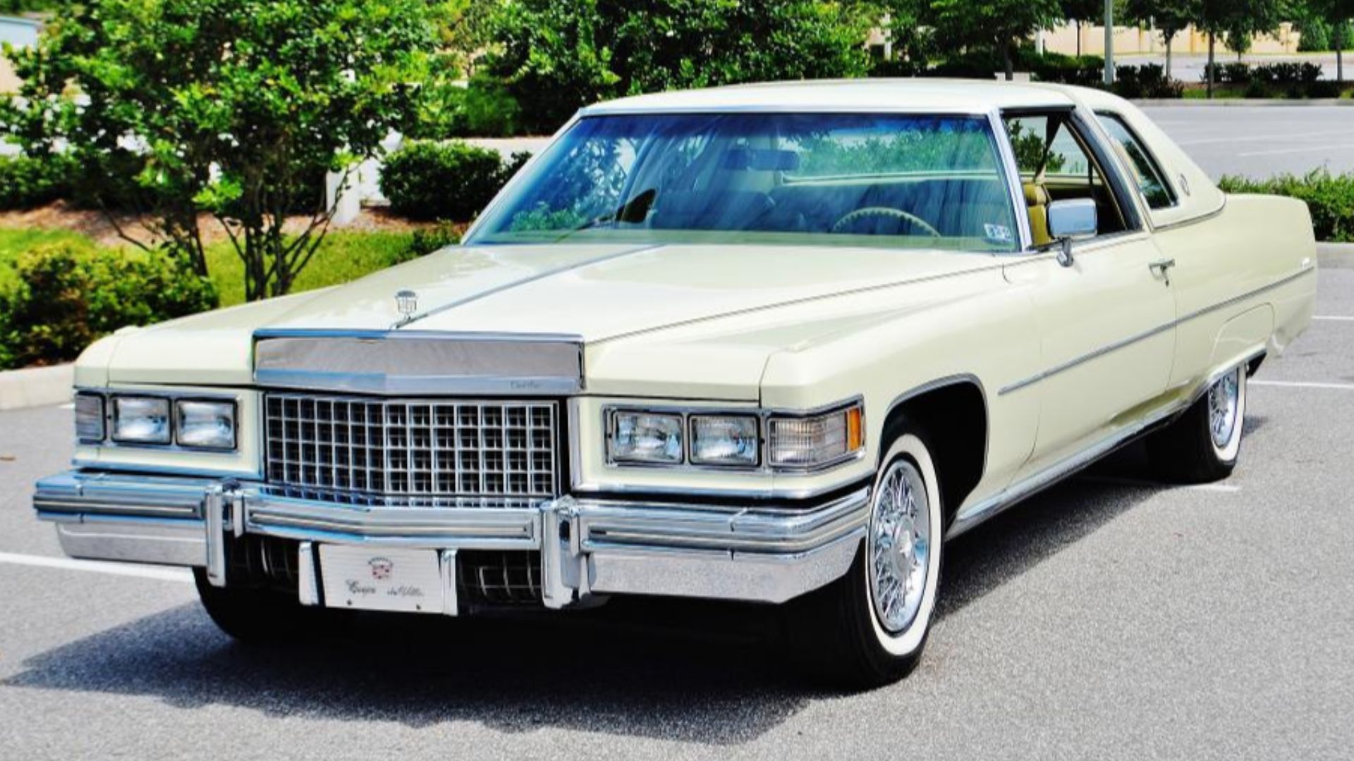 Color is called Phoenician Ivory.
