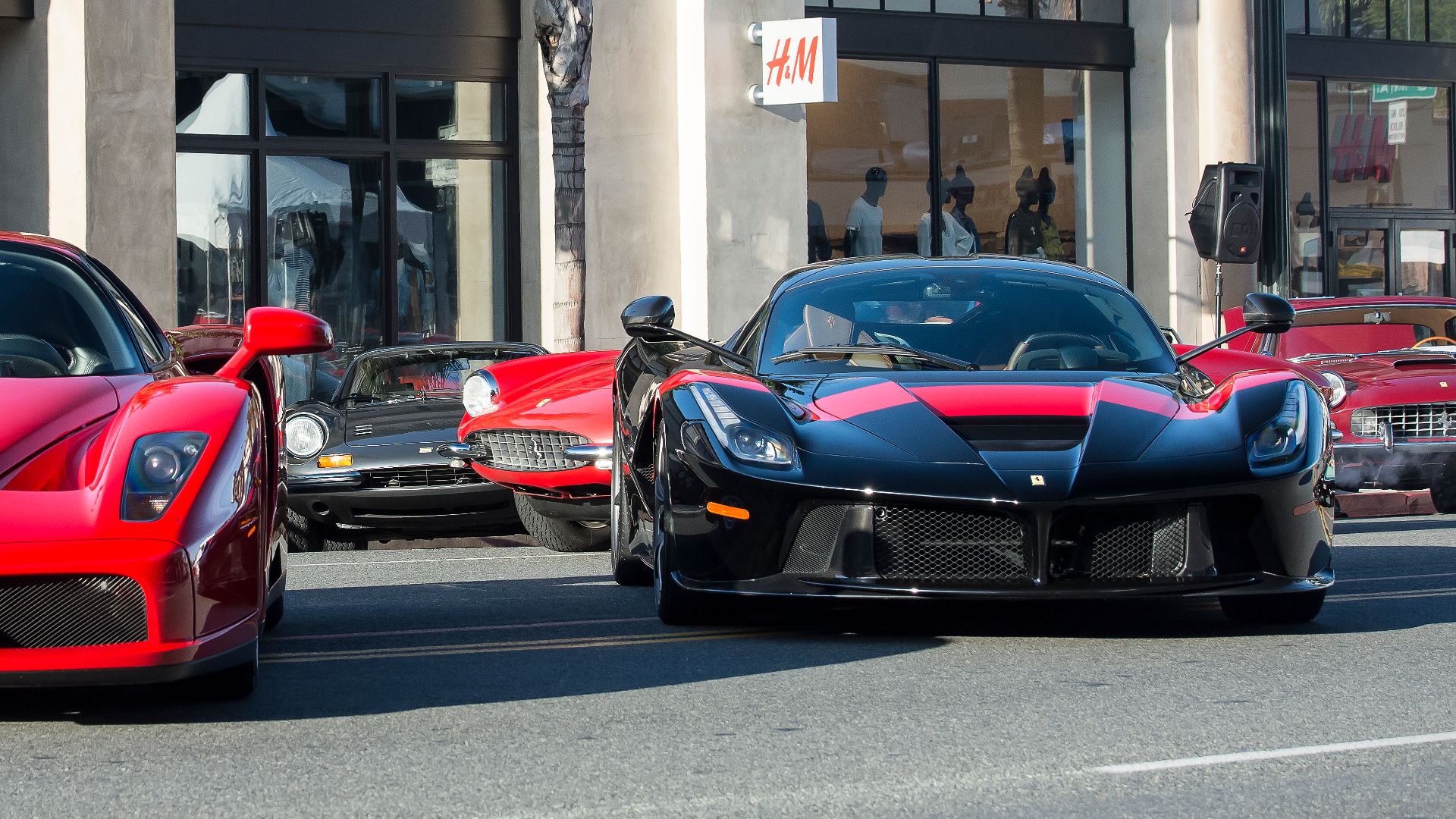 Ferrari Enzo and LaFerrari at Pasadena Concorso.