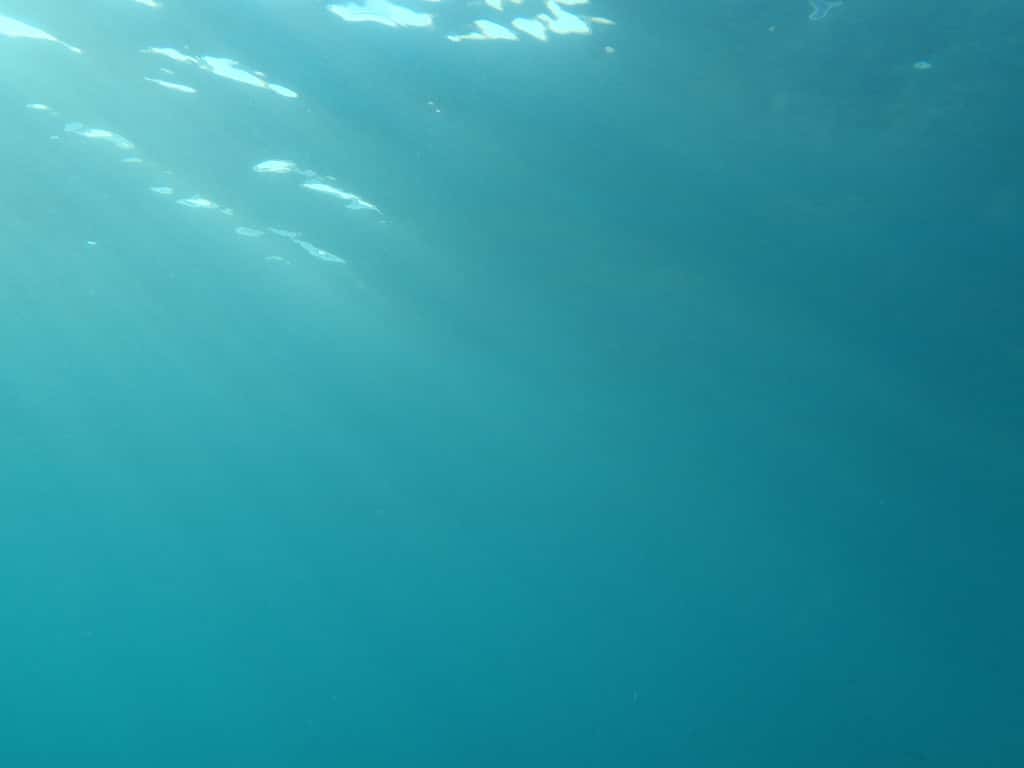 Extreme Sports Facts