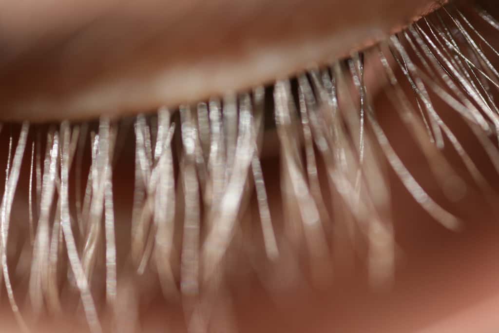 Macro photo of a human eyelashes