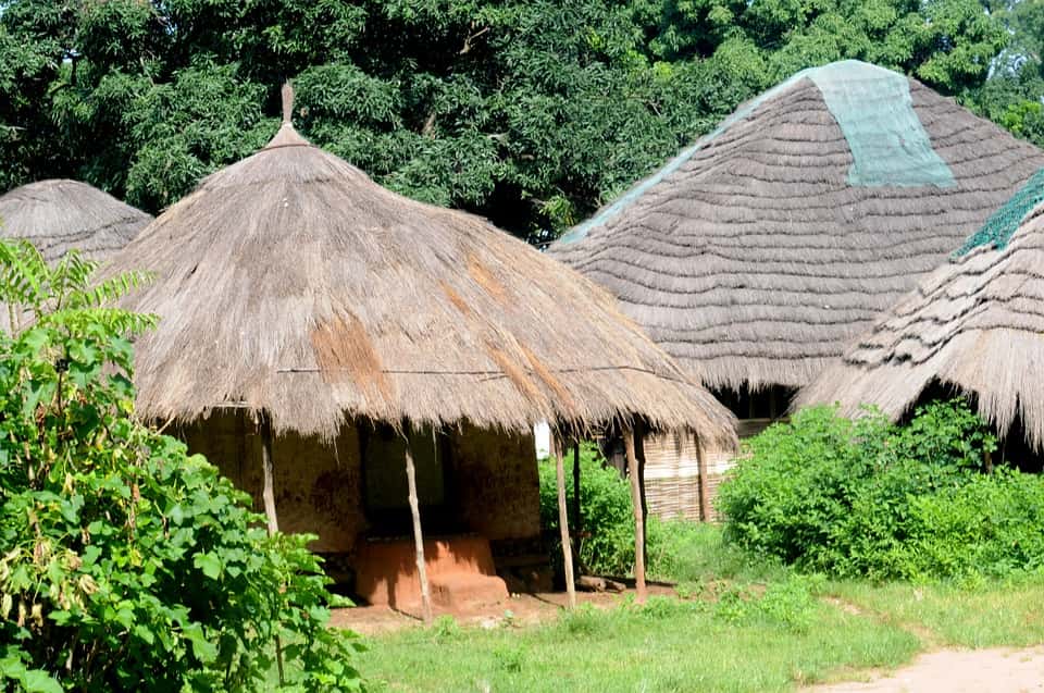 Village in Guinea Bissau Africa, huts surrounded by green bushes