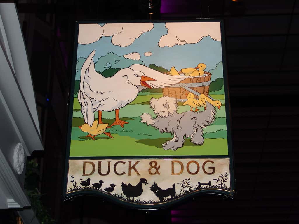 The British pub - Duck and Dog - 2008