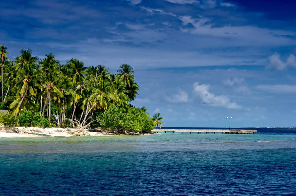 Photo of Palm beach an a harbor