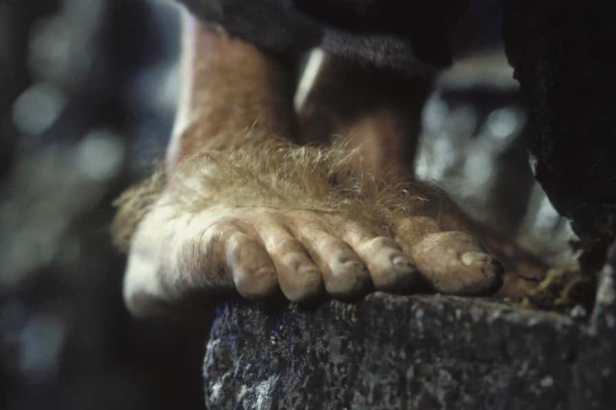 Lord of the Rings facts