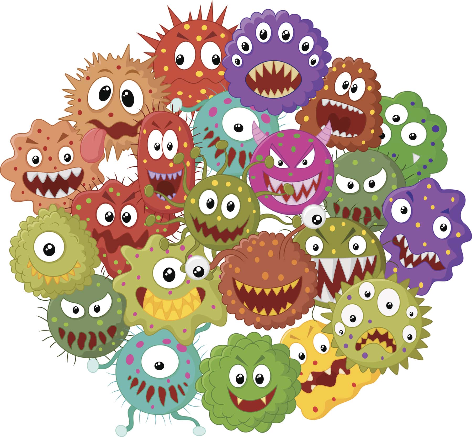 Facts About Human Bodies